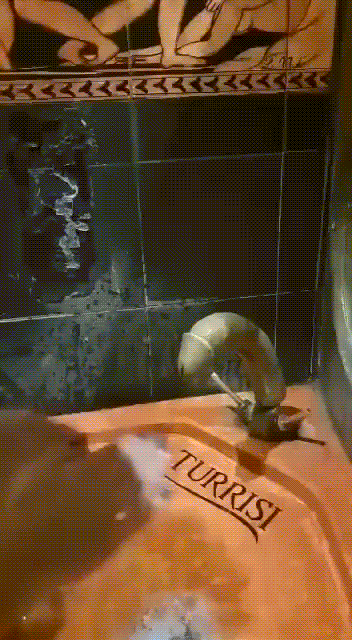 Dick_move.gif.47fa0d2965ecd981fa73f64caf86f80a.gif.b261710c282cd13f357d4f0c79efc893.gif