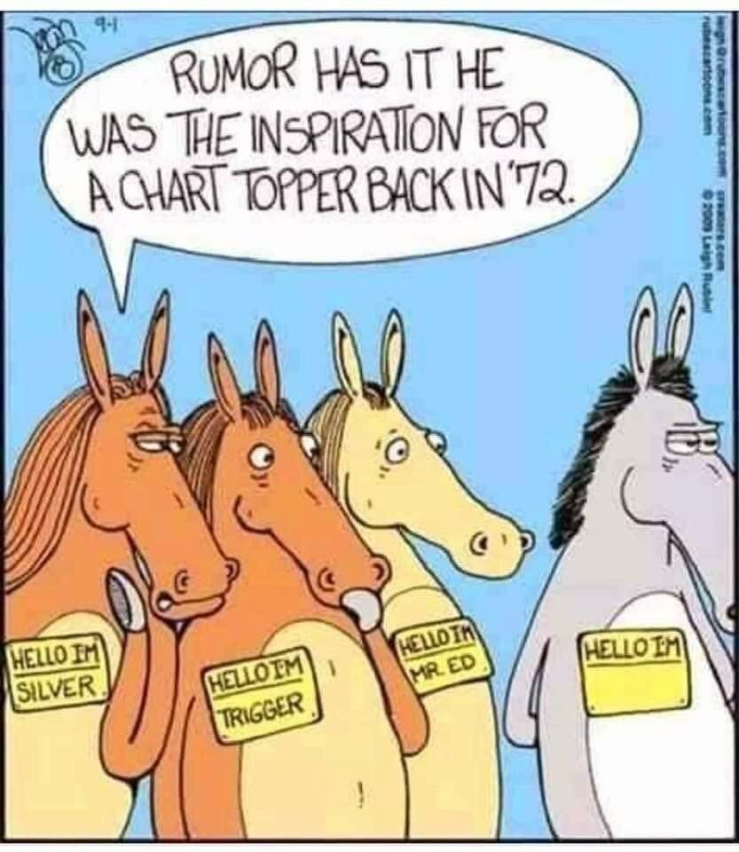 WhichHorse.jpg.3a9d46d18657413558cff5c4a453ba14.jpg