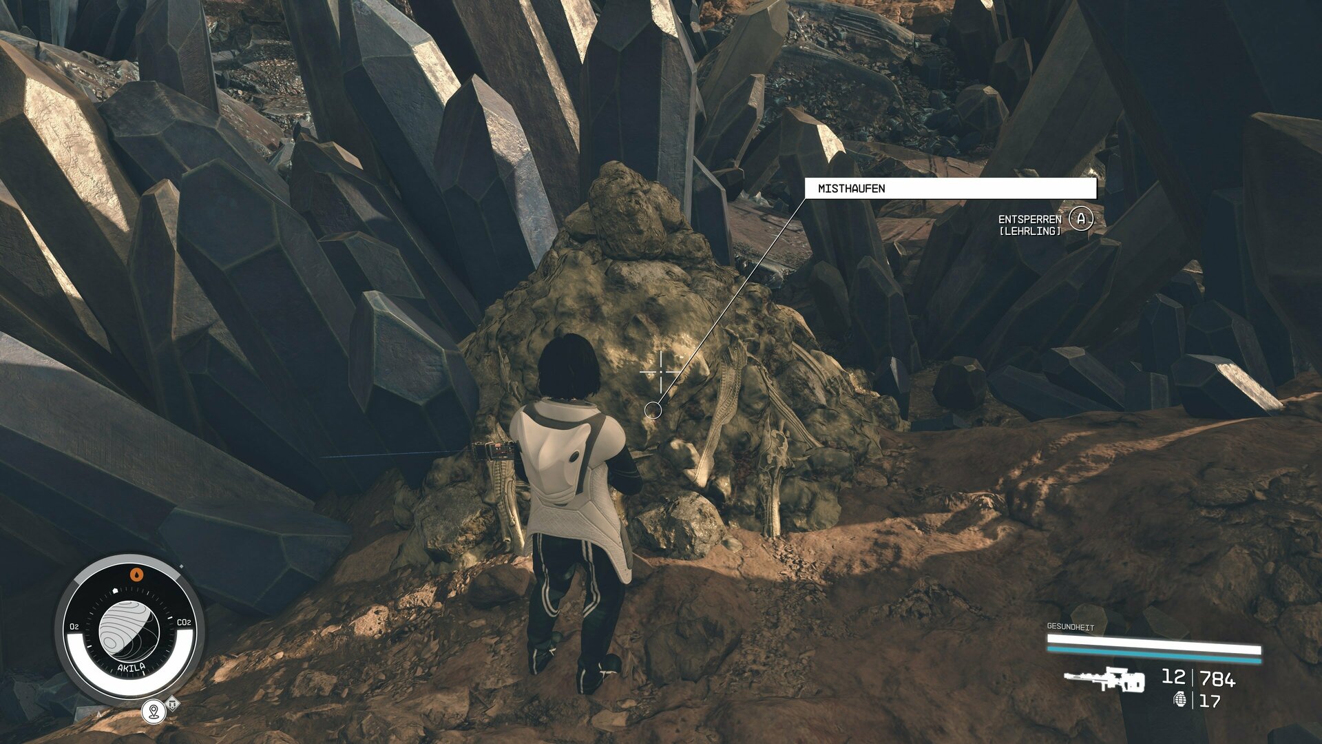 crap1.jpg