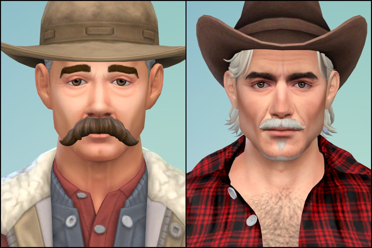 dongoosemancomparison.jpg.bbefb2544569f4c6fcd050fc700f751c.jpg