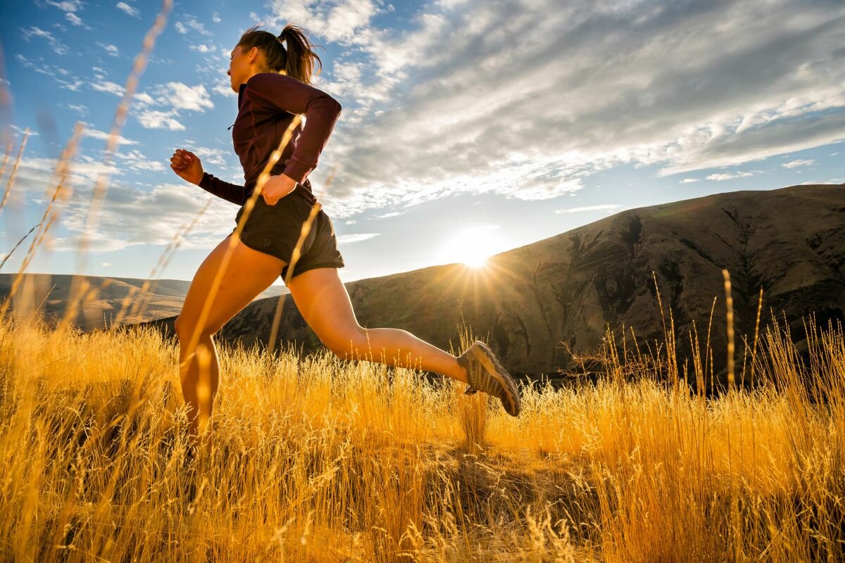 llrun3.jpg.c6238b6f6d3b258b2ce9b309679680f1.jpg
