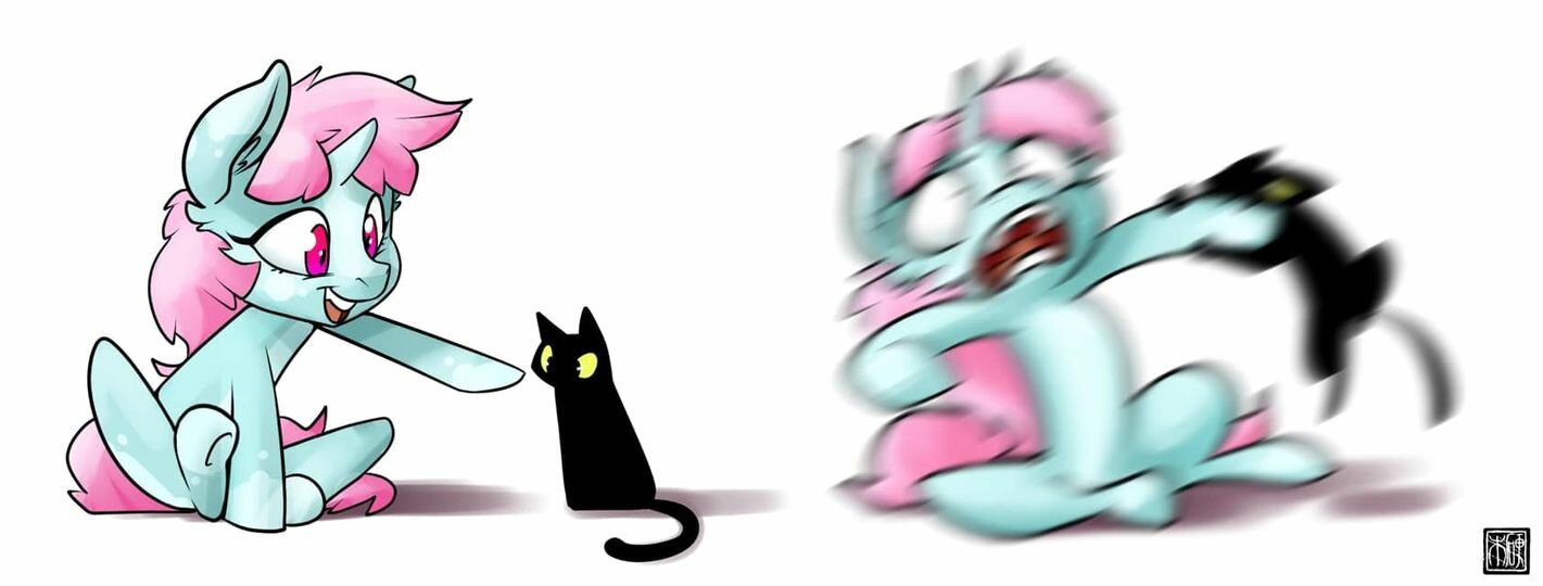 BlackCatAttack.jpg.cd190f3253965d144a4b521e24eb0d6b.jpg