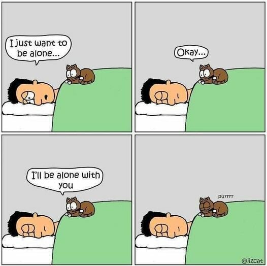 CatAlone.jpg.0ba4341dfbbc791509b41d96901a5227.jpg
