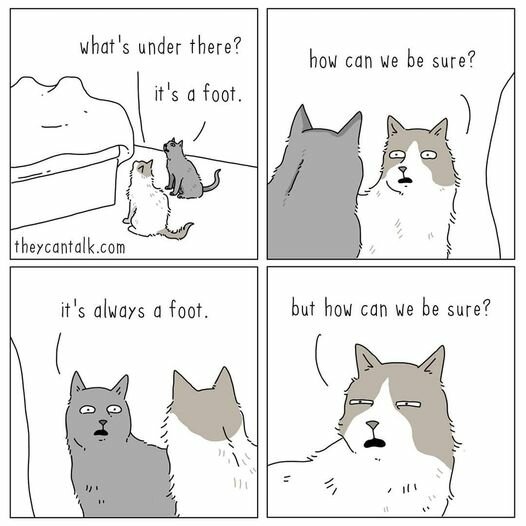 CatFoot.jpg.c3c62d6b888fb1800f1156f52c03546d.jpg