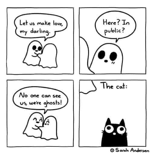 CatGhosts.jpg.c48cd8692bea4eb34c31252509922760.jpg