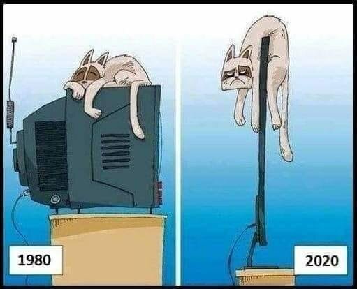 CatTV.jpg.0ef9e5e6277d1d688d51766f068e3c45.jpg