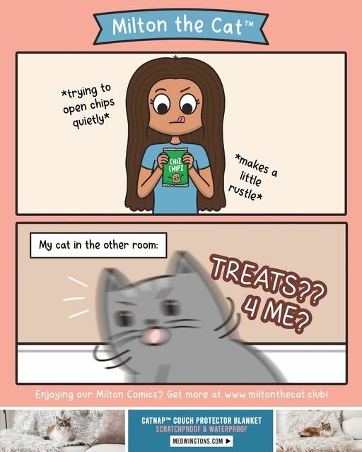 CatTreats.jpg.e6ee218e65027c4d451bc9bee3aeac37.jpg