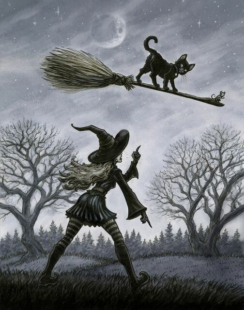 LLCatBroomSpin.jpg.564a2e24876d207a13a0610c2b2672a4.jpg