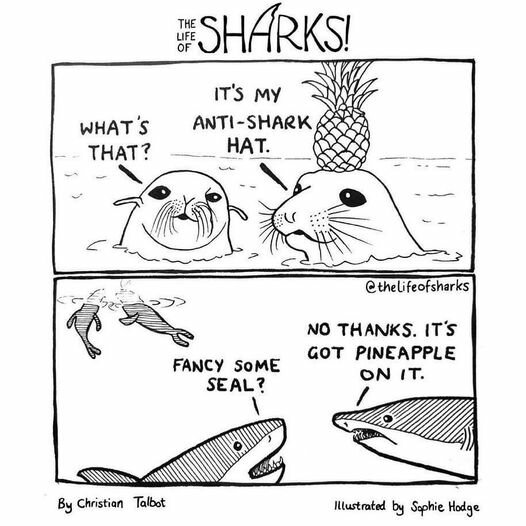 LLSharks.jpg.5d2aacf89e05378b3a2151c156bbba01.jpg