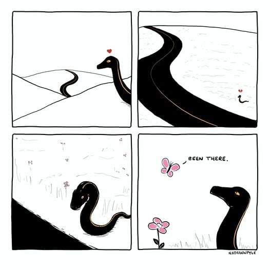 LLSnake.jpg.bf0a7772d53f9331aed96f7e839dd5eb.jpg