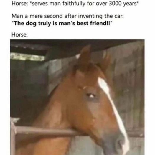 MansBestFriend.jpg.0c9c8557272f922425a22f36d89298cf.jpg