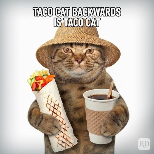 TacoCat.jpg.b86df85dd84c1a355fe1ce1bbaf38085.jpg