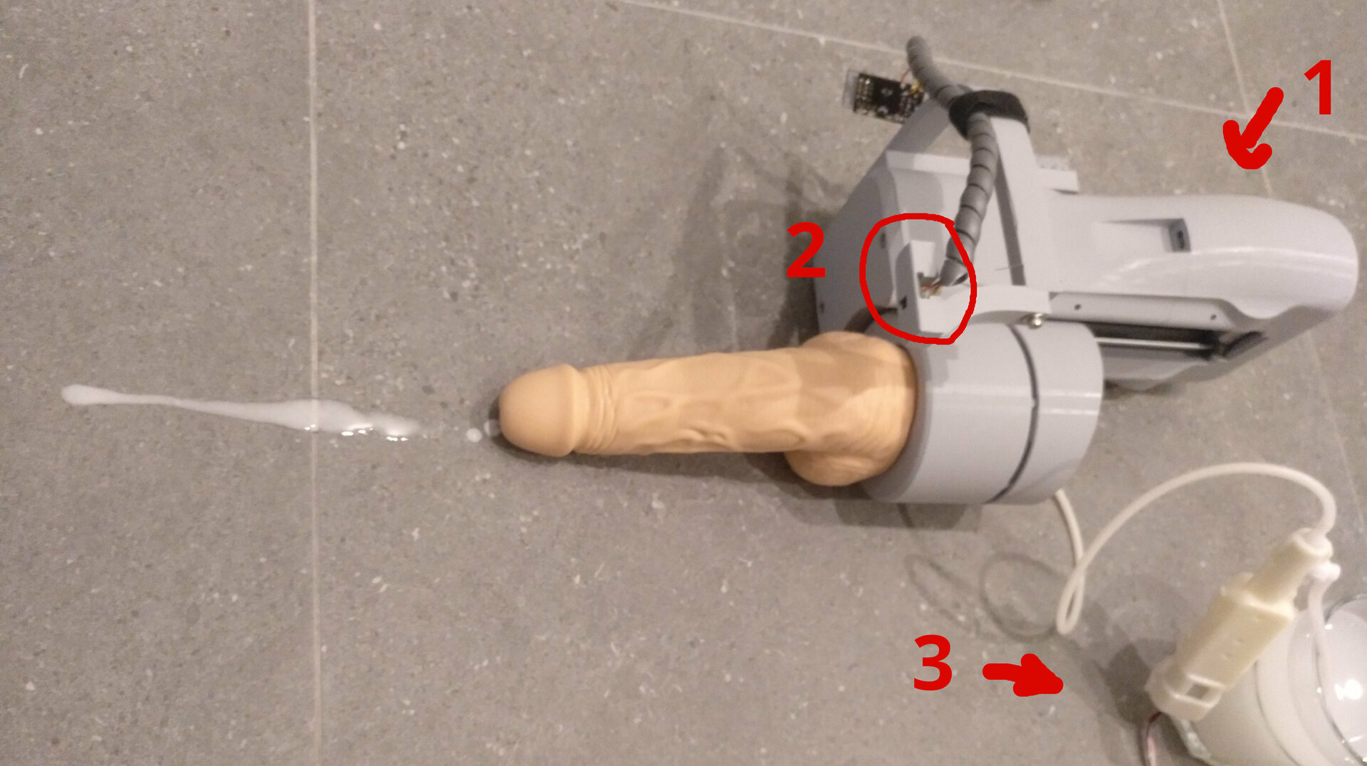 annotated.jpg