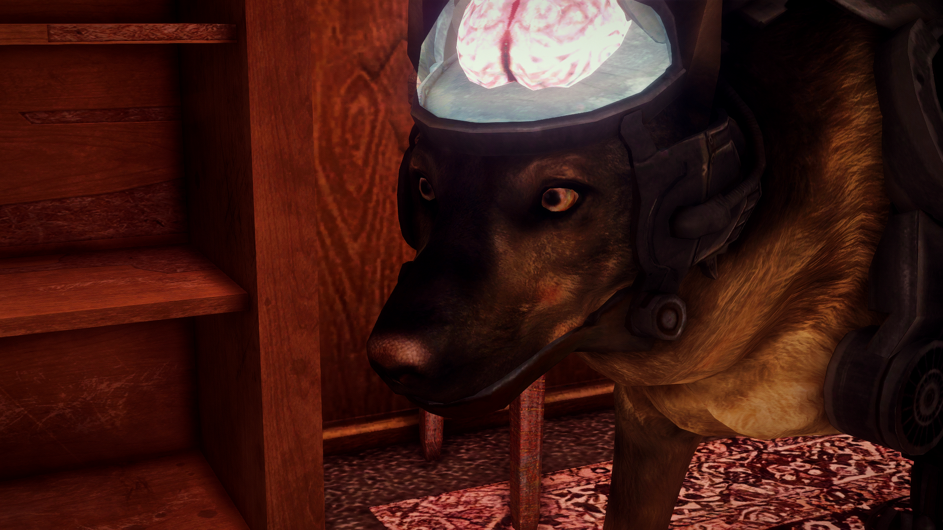 20.png.3c2198d270cd931b9e32e8c4f02be8b1.png