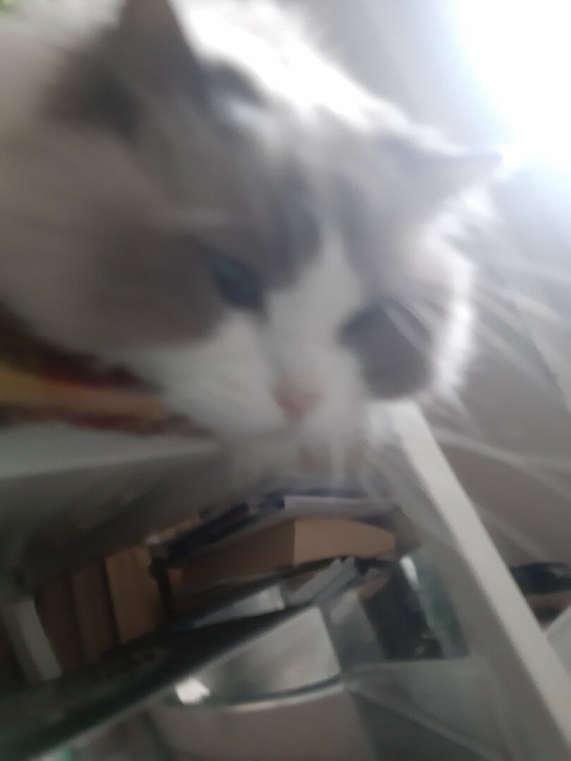 20231012_165129.jpg