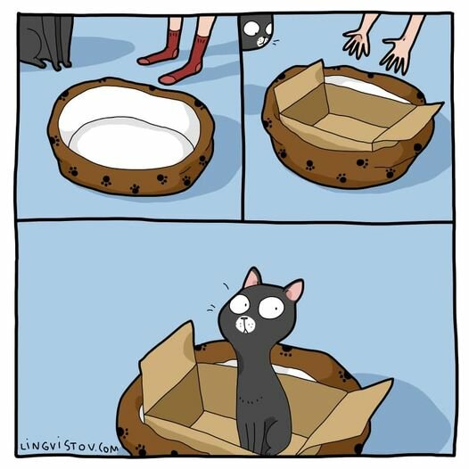 CatBed.jpg.cceda37924240c9024441d4b60bb254b.jpg