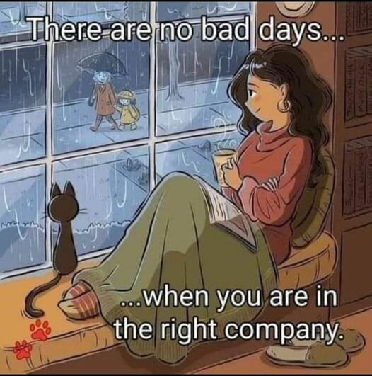 CatCompany.jpg.9a7549c7421e436302b290a37d16dfd9.jpg