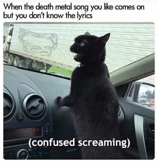 CatConfusedScreaming.jpg.6aa3a03edd806f459245aa255b9053e6.jpg