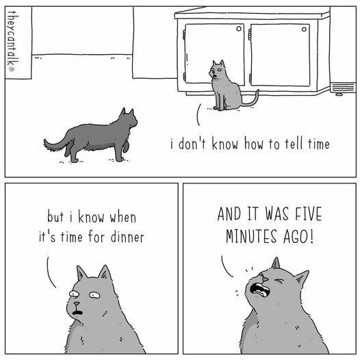 CatDinnerTime.jpg.52d4632bb8ddf3b7899921f229ce5176.jpg