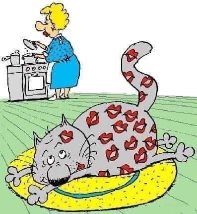 CatKittyKisses.jpg.67ba8e1dd41b5826da662a90a93456b7.jpg