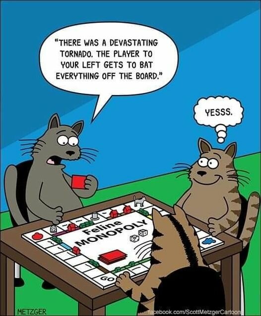 CatMonopolyTornado.jpg.0be174a8d26d55df9abd8c7996d898e2.jpg