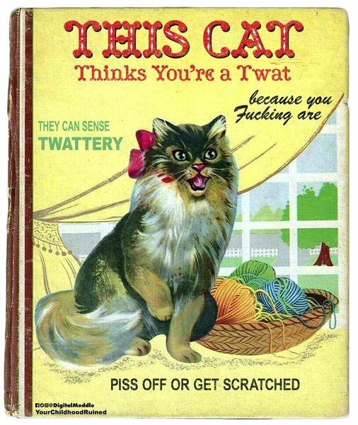 CatThinksYoureATwat.jpg.e7fe1a165e02e1631e9f8ba892d3042e.jpg