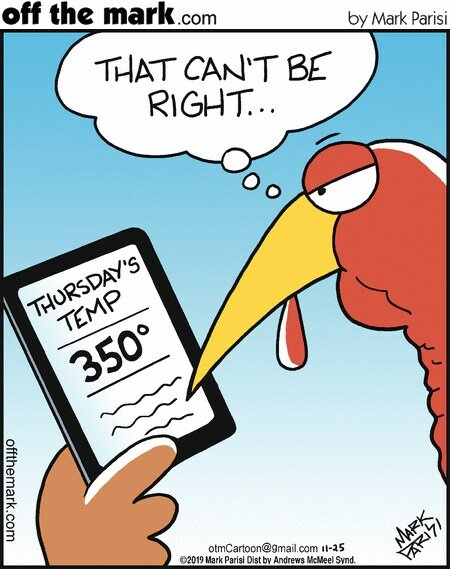 CatTurkeyDay.jpg.49399e36bb0023ed3251e95c38ebb59b.jpg
