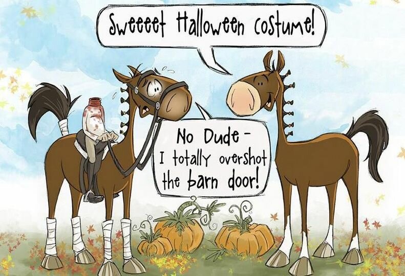 HalloweenHorse.jpg.f55cb0a03bca9f3afcb9e63b3ab33ca4.jpg