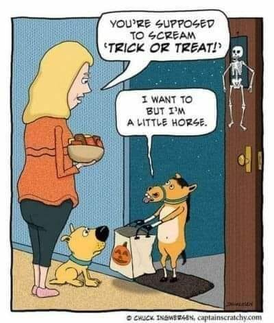 HorseTrickOrTreat.jpg.9e33e8d77c7c55a5f7ebe06df1fa099f.jpg