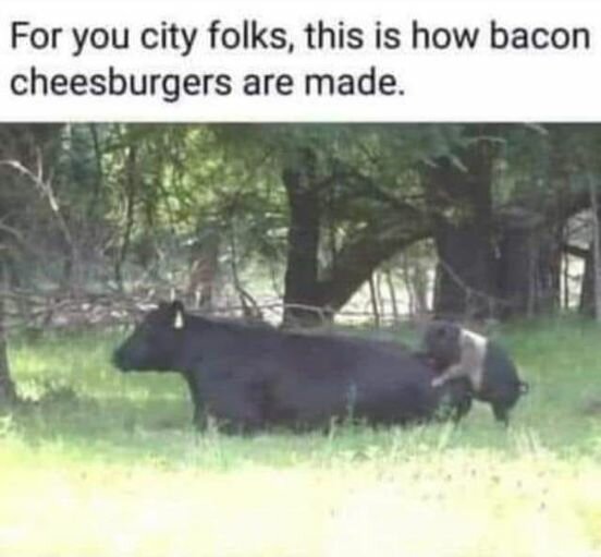 LLBaconCheeseburgers.jpg.d5bbb099f2e626f0665e85570e0d94f6.jpg