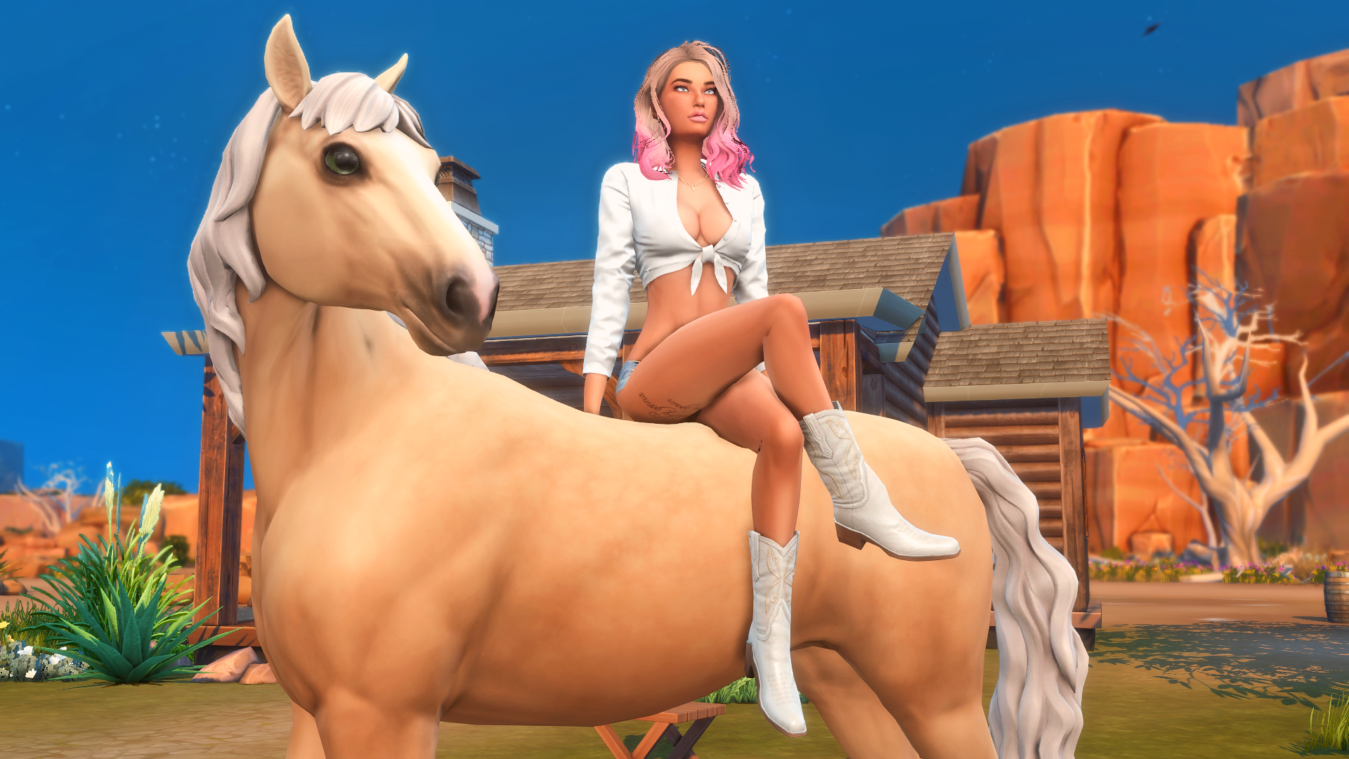 TS4_x642023-11-2522-25-52.png.75b55cb996429b7f6edc5f37b3653890.png