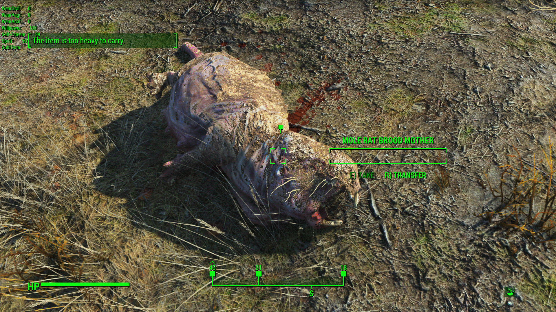 enb2023_11_19_18_05_28.gif.f091999d42201586e31b967b24d99363.gif