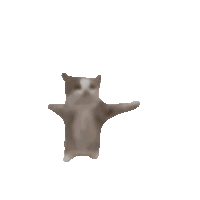 image.gif.45ff214c7c3d511b07f0906331c9dec6.gif