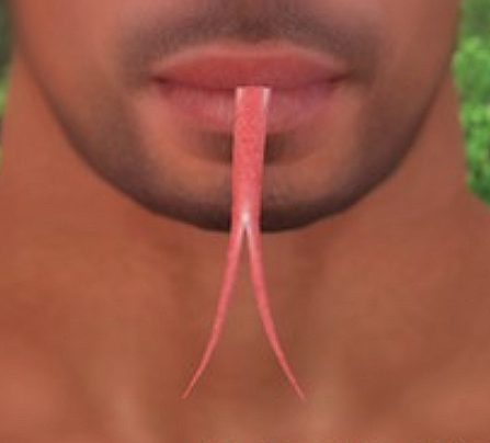 image.png.e66bc4e180cca8044da837134b5766ac.png