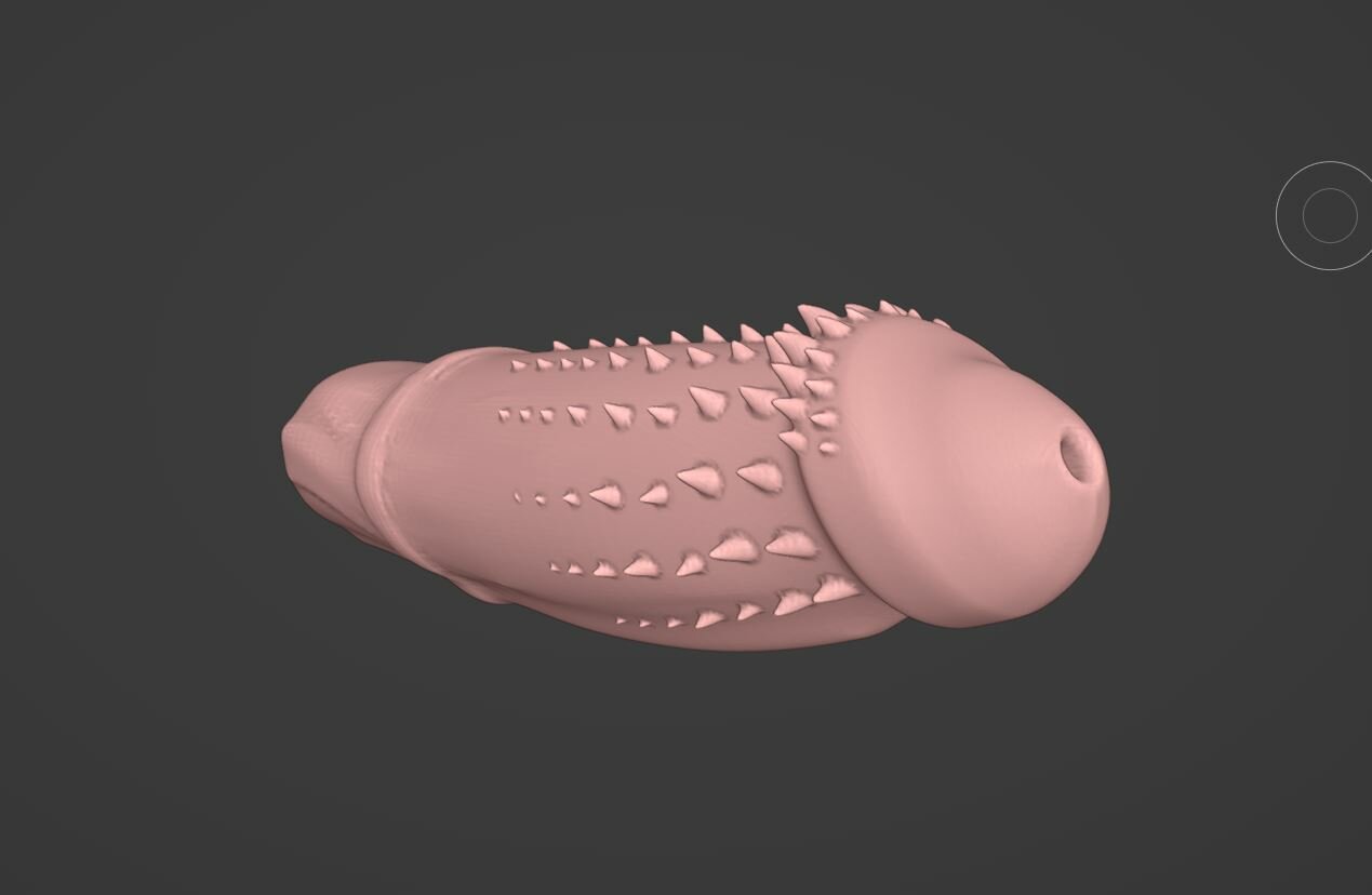 pp1.JPG.6c9693011c388736831e6e138e62caed.JPG