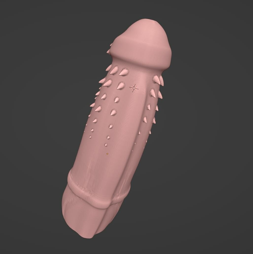 pp2.JPG.62f55b558980d4c8c141e3bc41e0084b.JPG