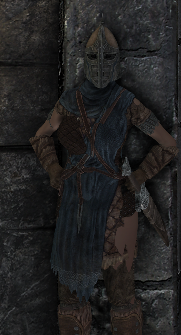 skyrimguard1.thumb.png.7a82ba0c5f59e529ee88861d41e97a3a.png