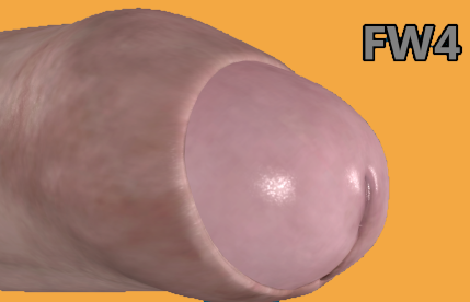 vgnlsschlngfw43bamini.png.82910bff68073775e4d09bd4da31cdb0.png