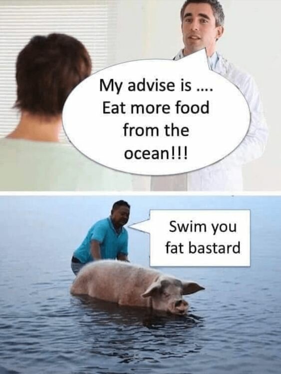9524468364dde8f9e5d1d8ac0839594f.jpg.2e32196fc794d6d0d83f0402f8529a50.jpg