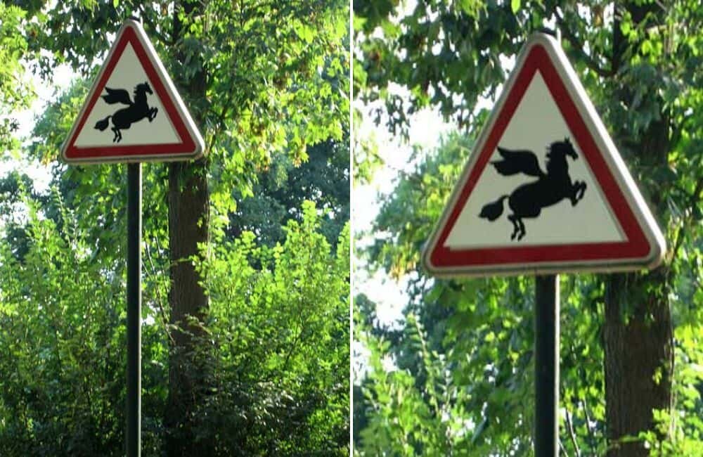 Article-Image-HilariousSigns-Pegasus-Alert-.jpeg.43ec36e1ec947ee04e6f129a2d126a83.jpeg