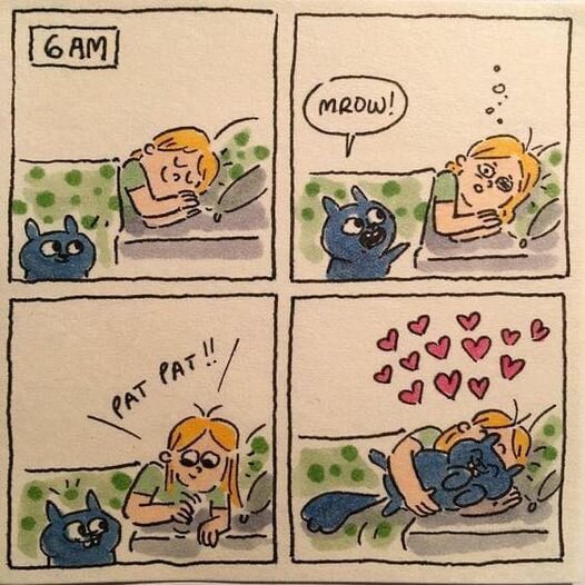 CatBedCompany.jpg.40949bfed3628666979f61b369a344e4.jpg
