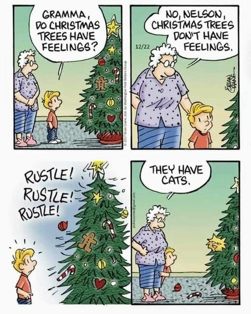 CatCristmasTrees.jpg.3cb4a7ca05d0bbd71f0788572e48106f.jpg