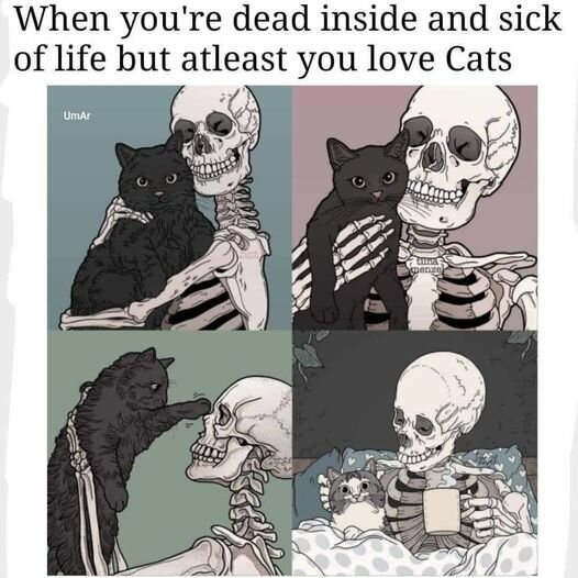 CatDeadInside.jpg.21dc47fbaba7242be79c64e8f53de86f.jpg