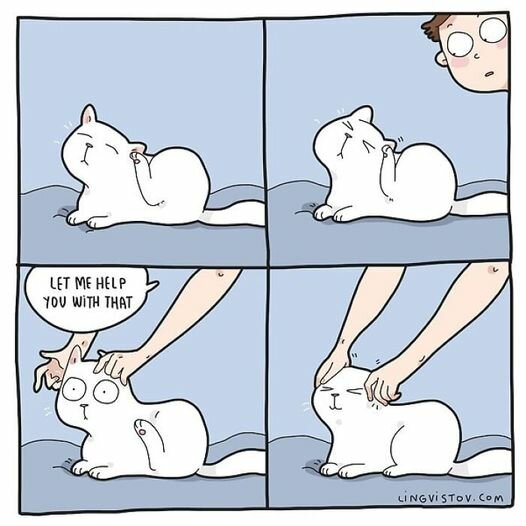 CatEarSkritches.jpg.f15951125d4f3386bc67255501069606.jpg