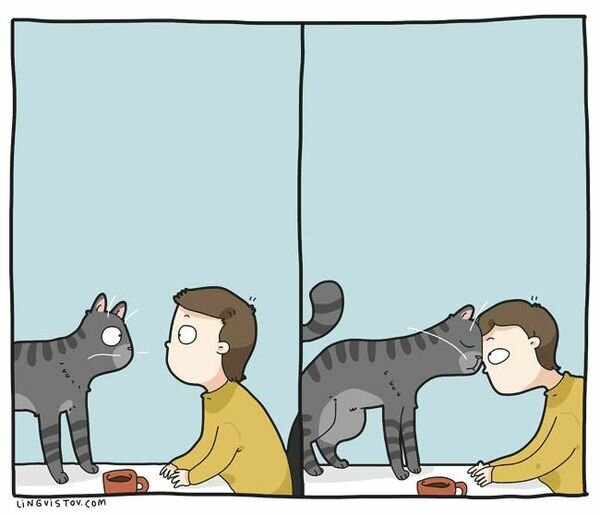 CatHeadbutts.jpg.47a9f92888b46a7dd58c6921bc2cfc0b.jpg