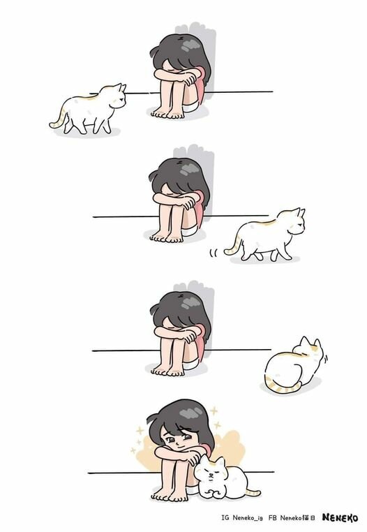 CatJustKnow.jpg.87da40bb7aaf2e03b039af391e76d43f.jpg