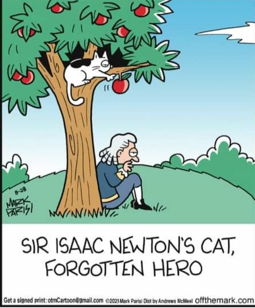 CatNewton.jpg.057177ea0cfc34723e0a9206df687568.jpg