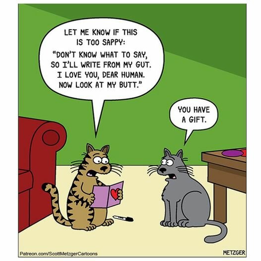 CatPoemGift.jpg.6f1e66083ec7c712b589b6f41613316e.jpg