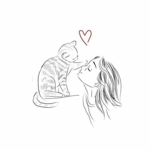 CatTouch.jpg.14c465b0bed744fc72c2ac8b4a6777ae.jpg