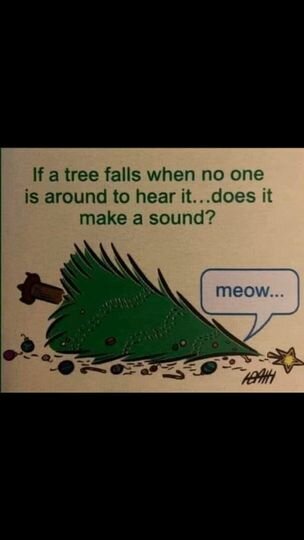 CatTreeFallsMeow.jpg.f28a81203f37d4cedc299fe391bb71a5.jpg